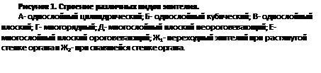 ϳ:  1.    .
-  ; -  ; -  ; - ; -   ; -   ; 1-        2-    .

